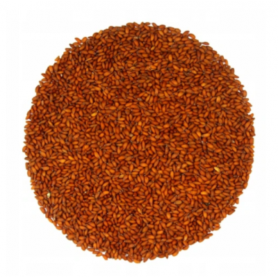 Řeřicha - semínka na klíčení 500 g